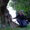 Elena Friso