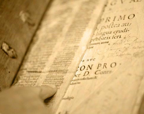 Attachment latino.jpg